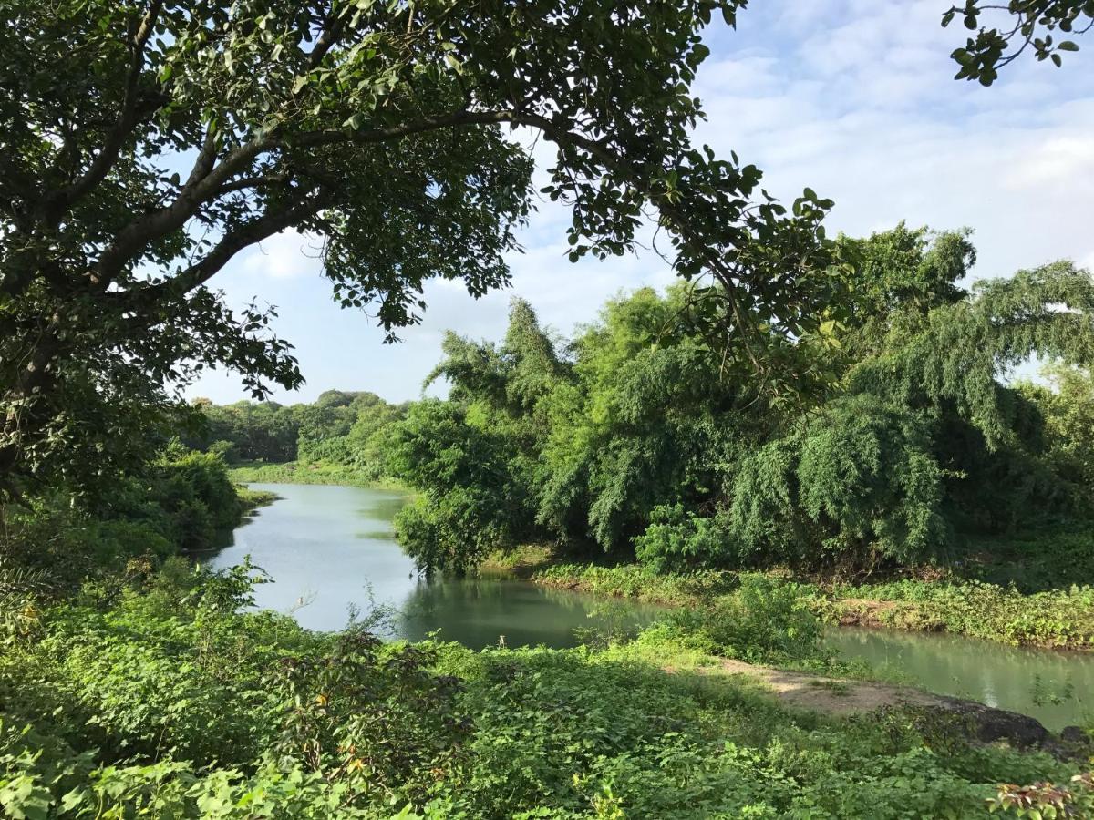 Zohra Baugh, A Green & Organic Farmhouse Stay With All Amenities Dahanu Eksteriør billede
